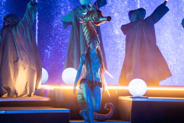 Foto: Matthias Schultner