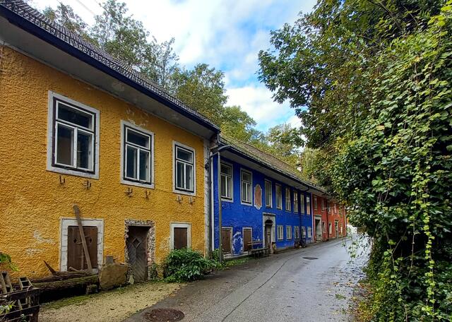 Foto: H. Bachinger