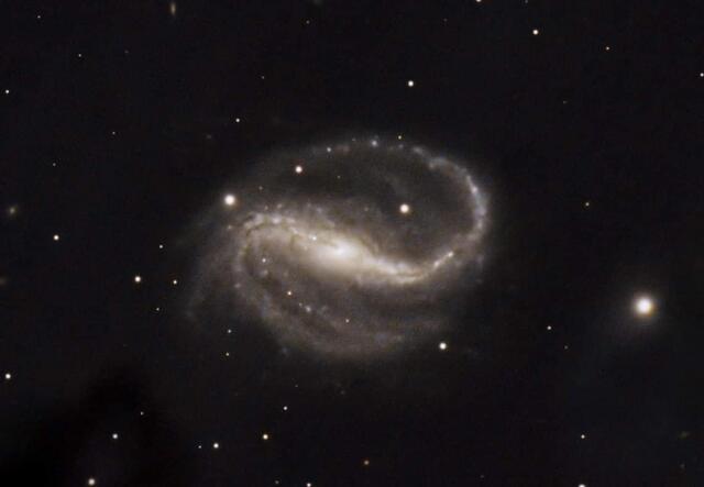 Die Balkenspiralgalaxie NGC7479 | Foto: Günter Kleinshuster