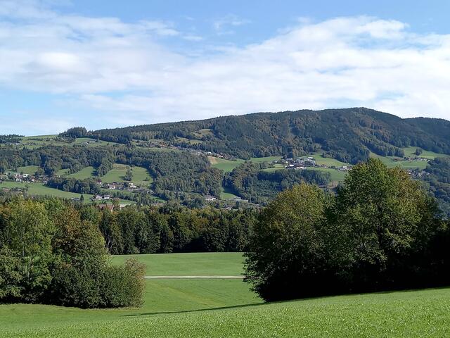 Foto: H.Bachinger 