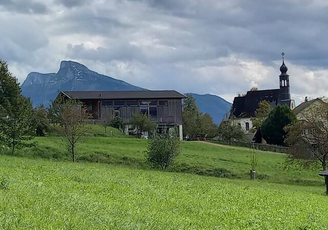 Foto: H. Bachinger