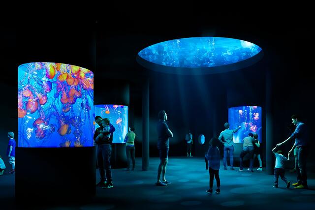 "Der Aufbau von Reservepopulationen in zoologischen Einrichtungen wird immer wichtiger, um das langfristige Überleben bedrohter Arten zu sichern", so Stephan Hering-Hagenbeck.  | Foto: Tiergarten Schönbrunn