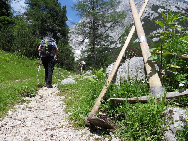 25 Prozent der Einnahmen aus den Parkgebühren im Nationalpark Gesäuse werden für die Instandhaltung der Wanderwege verwendet. | Foto: Nationalpark Gesäuse