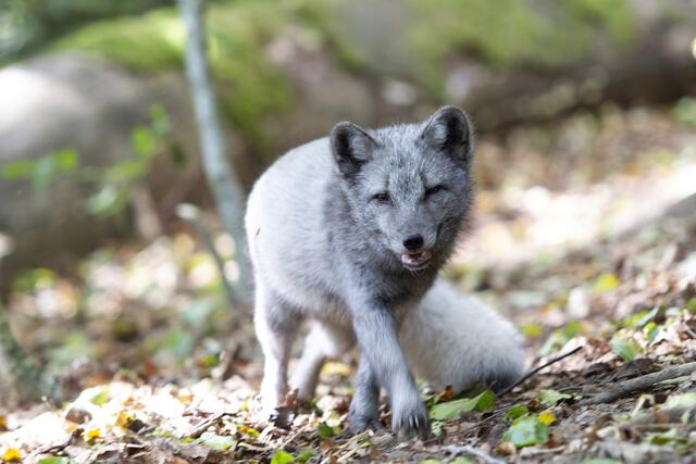 Foto: Markus Bichler