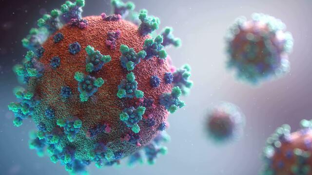 Die Zahl der Krankenstände im Burgenland steigt. Die Hauptgründe: grippale Infekte, Influenza undCovid-19. | Foto: Symbolbild: Unsplash.com