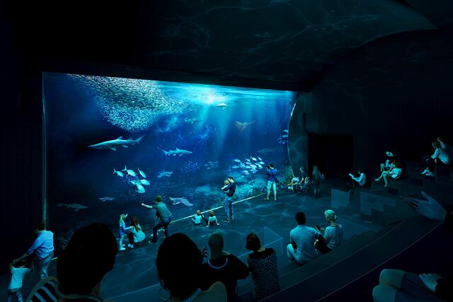 Eine Attraktion des neuen Aquariums ist das Haibecken. Gerade dieses sorgt für Kritik unter Tierschützerinnen und Tierschützern.  | Foto: Tiergarten Schönbrunn