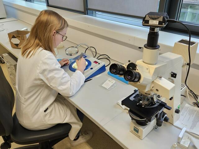 Kwizda Agro forscht künftig in Tulln im Bereich der Mikro- und Molekularbiologie. | Foto: Kwizda Agro