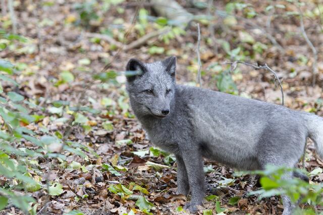 Foto: Markus Bichler