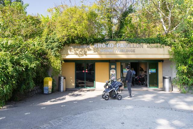 Das alte Aquarium hat laut Tiergarten das Ende seiner Nutzungsdauer erreicht. Der Neubau wird am selben Standort errichtet.  | Foto: Daniel Zupanc