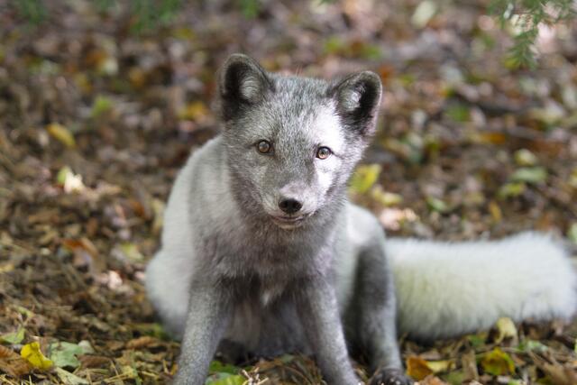 Foto: Markus Bichler