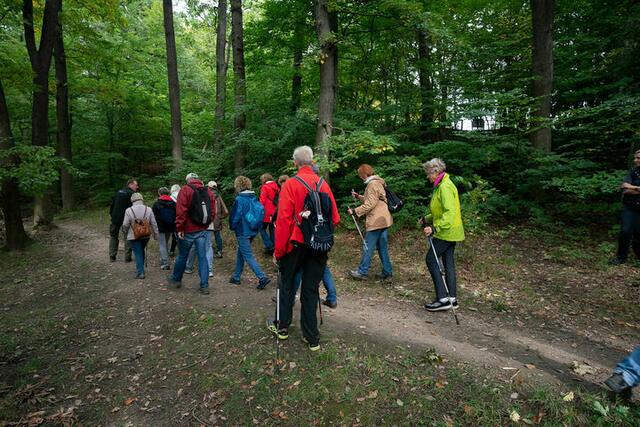 Zahlreiche Veranstaltungen warten für Seniorinnen und Senioren im Oktober. Unter anderem begibt man sich auf gemeinsame Wanderungen.  | Foto: David Bohmann