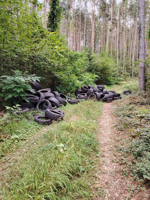 Kein schöner Anblick: die illegale Reifen-Deponie im Wald. | Foto: privat