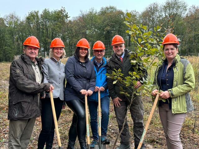 Obmann des Waldverbandes Österreich Rudolf Rosenstatter, Selektionsleiterin Forstwirtschaft und Nachhaltigkeit Elfriede Moser, Landeshauptmann-Stellvertreterin Astrid Eisenkopf, Leiter des Bundesforschungszentrums für Wald Peter Mayer und Landeswirtschaftskammer NÖ-Vizepräsidentin Andrea Wagner bei den Waltagen 2024 | Foto: Lisa-Marie Zehetbauer