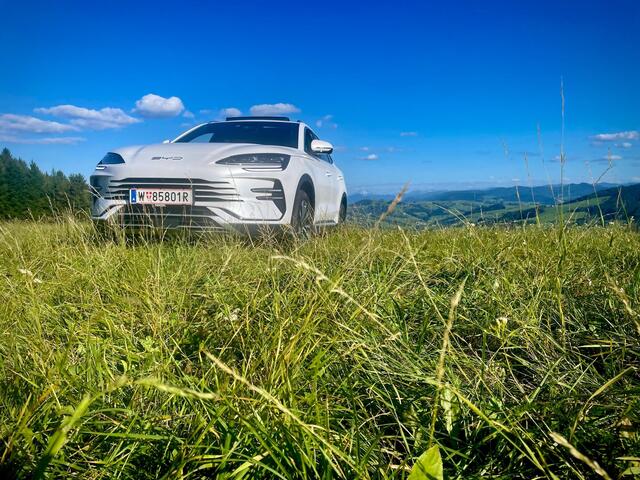Foto: Löschenkohl/Pold/BYD Österreich