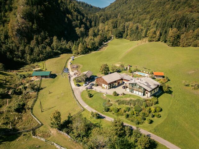 Foto: Löschenkohl/Pold/BYD Österreich
