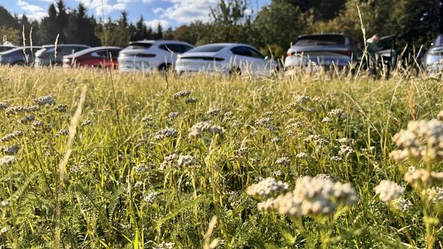 Foto: Löschenkohl/Pold/BYD Österreich