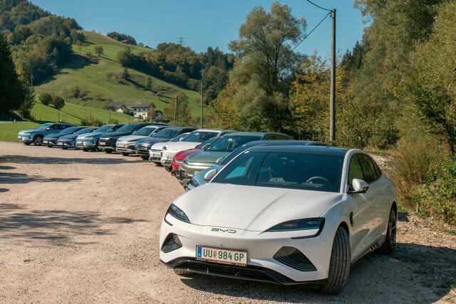 Foto: Löschenkohl/Pold/BYD Österreich