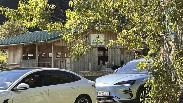 Foto: Löschenkohl/Pold/BYD Österreich