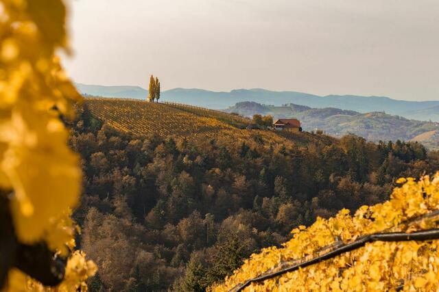 Wenn aus der grünen Steiermark die goldene Steiermark wird: Der Herbst zieht ein, und man darf sich jetzt schon über den Tourismus freuen. Die Aussicht auf die Nächtigungszahlen ist gut. | Foto: Juliana Ketschler