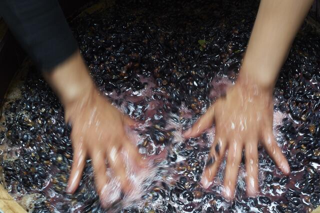 Foto: Privat
