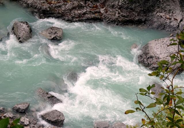 Die derzeit wasserreiche Erlauf von oben