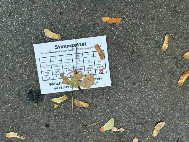 Foto: Nikki Gretz-Blanckenstein/MeinBezirk