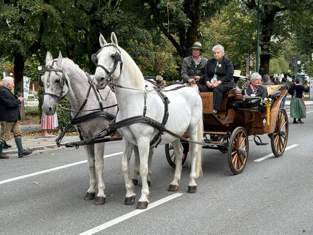Foto: MeinBezirk/Gratzer