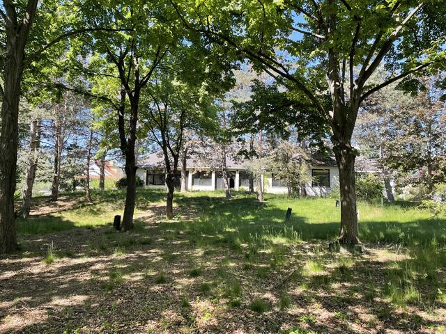 Betroffen sein sollen Bäume auf dem Grundstück des ehemaligen Gasthauses. Genau an der Stelle soll die Tiefgarage des "Monsterbaus" geplant sein.  | Foto: Lisa Kammann