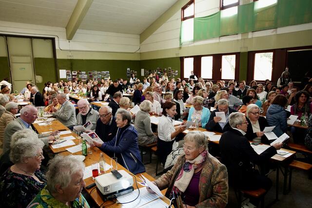 Foto: Gumpoldskirchner Spatzen