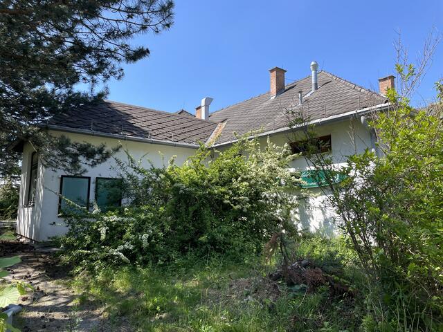 Betroffen sein sollen Bäume auf dem Grundstück des ehemaligen Gasthauses. Genau an der Stelle soll die Tiefgarage des "Monsterbaus" geplant sein.  | Foto: Lisa Kammann