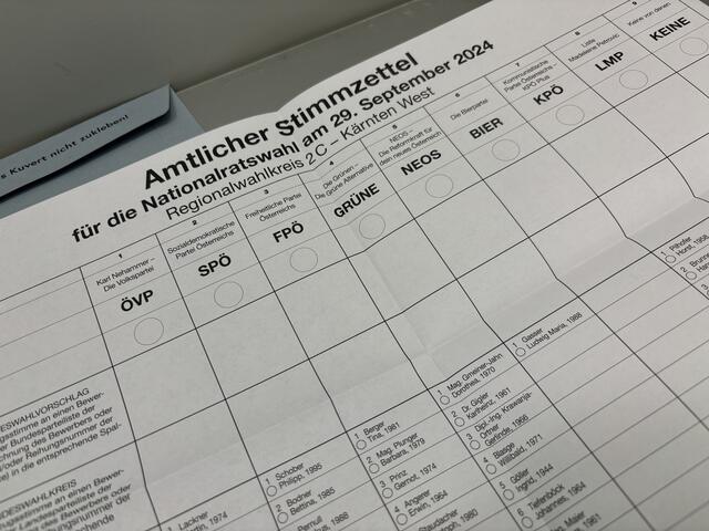 Über das Bezirks-Wahlergebnis jubeln die Freiheitlichen. | Foto: MeinBezirk.at