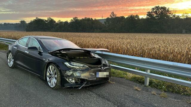 Die Feuerwehren Herzogenburg-Stadt und Traismauer-Stadt wurden zur Menschenrettung alarmiert. | Foto: Doku NÖ