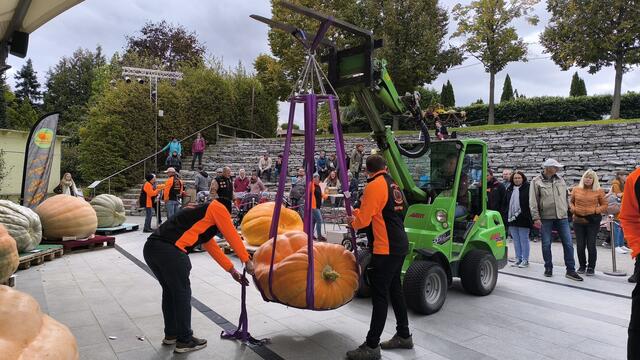 Spektakuläres Abwiegen der Riesenkürbisse. | Foto: Kittenberger Erlebnisgärten