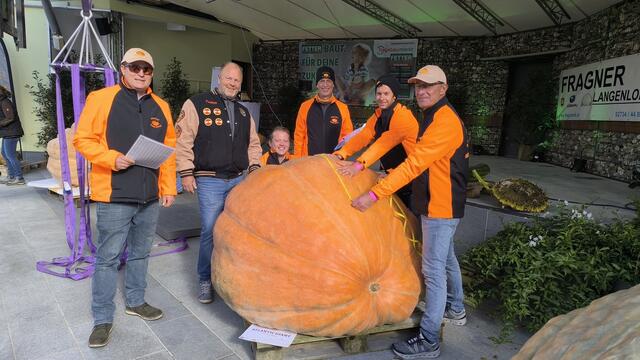 Vermessen der Riesenkürbisse. | Foto: Kittenberger Erlebnisgärten