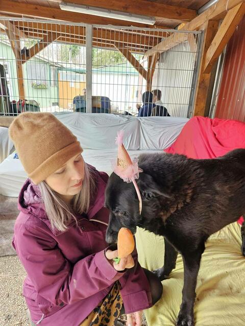 Foto: Tierheim Bruck/Leitha