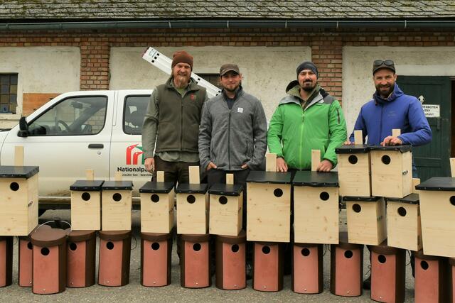 (v.l.) Daniel Leopoldsberger, Benjamin Knes, Lukas Vendler und Leander Khil kümmern sich um den Bestand der Nistplätze. | Foto: Daniel Leopoldsberger