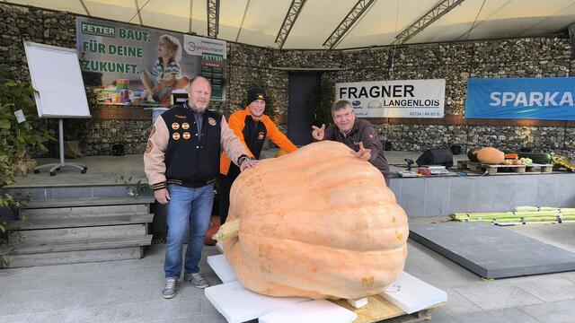 Großes Kürbiswiegen in den Kittenberger Erlebnisgärten. | Foto: Kittenberger Erlebnisgärten