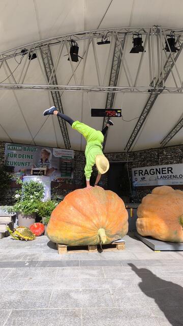 Quatsch Gärtner on tour beim Riesenkürbiswiegen. | Foto: Kittenberger Erlebnisgärten