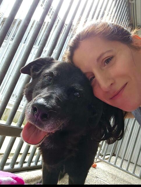 Foto: Tierheim Bruck/Leitha