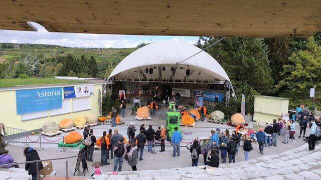 Großes Kürbiswiegen in den Kittenberger Erlebnisgärten. | Foto: Kittenberger Erlebnisgärten