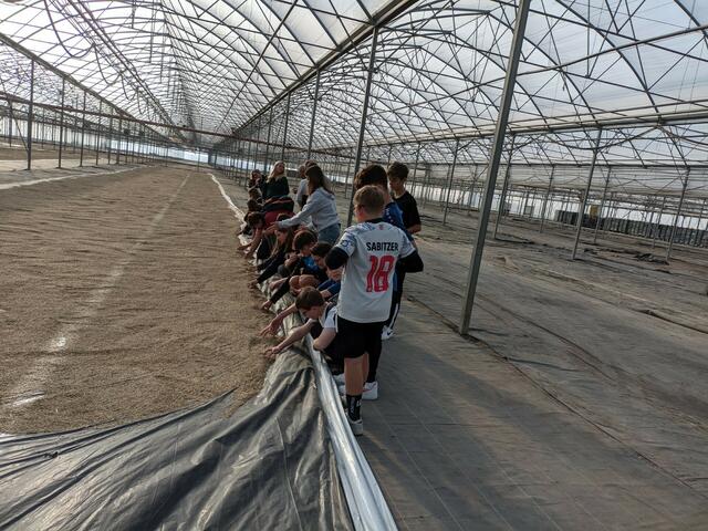 Bei der Erwin Unger Gartenbaubetriebe GmbH in Wallern lernten die Kinder alles über nachhaltigen Gemüseanbau.  | Foto: MS Andau