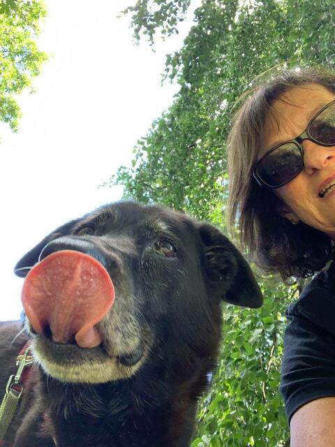 Foto: Tierheim Bruck/Leitha