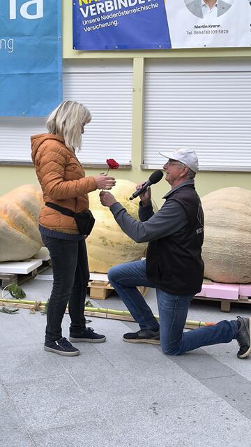 Spontaner Heiratsantrag beim Kürbiswiegen - sie sagte "Ja". | Foto: Kittenberger Erlebnisgärten