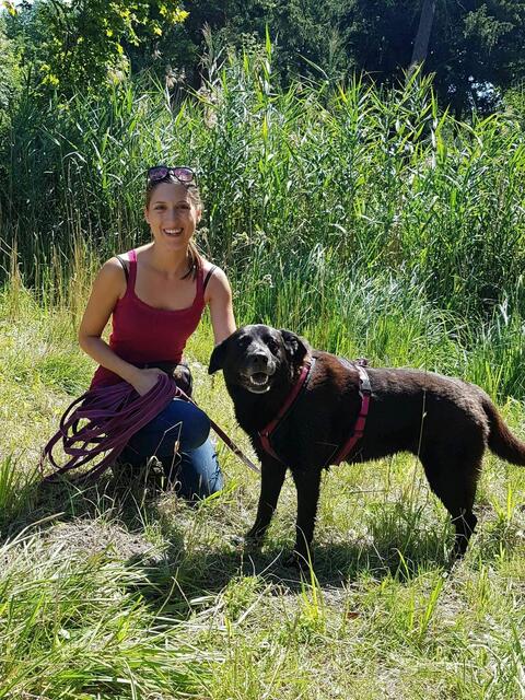 Foto: Tierheim Bruck/Leitha