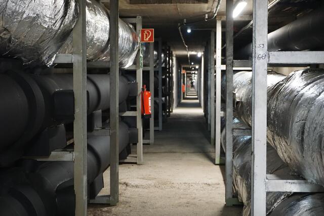 Foto: MeinBezirk/ Lisa Kropiunig