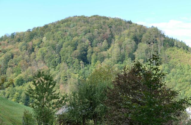 Schutzwald, unsere Lebensgrundlage | Foto: WLV