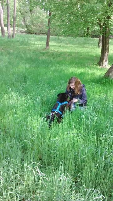 Foto: Tierheim Bruck/Leitha