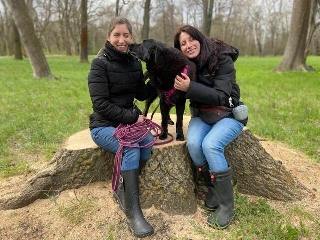 Foto: Tierheim Bruck/Leitha