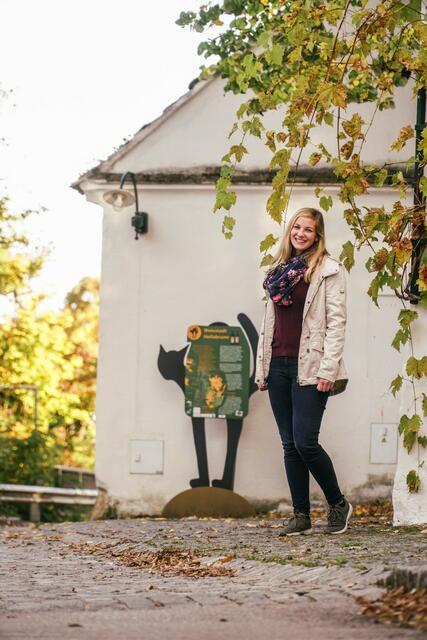 Weinviertel | Foto: Carina Scheuer 