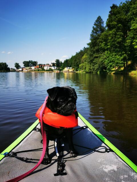 Waldviertel | Foto: Brigitta Nebosis 